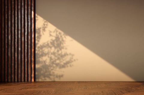 Modern empty room with sunlight and tree shadow