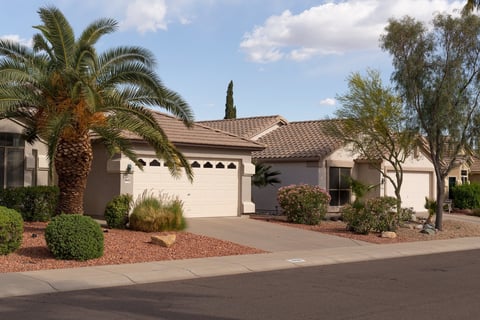 Exterior view from the street of residential houses on a street in Mesa